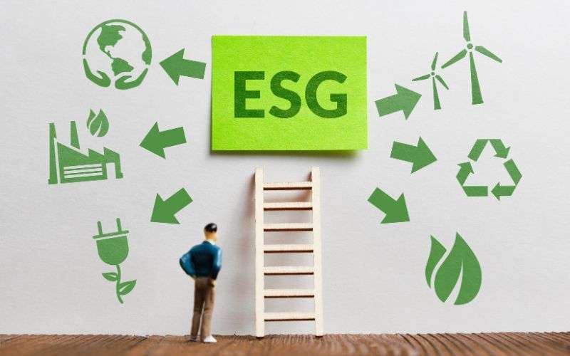The Evolution of Governance Standards in ESG Investing