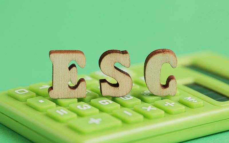 Understanding ESG Investing: Benefits and Considerations